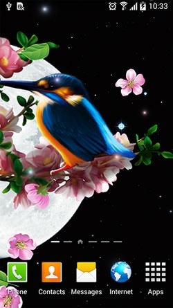 Sakura And Bird Android Wallpaper Image 1