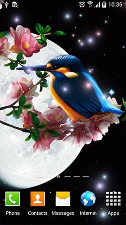 Sakura And Bird Android Wallpaper Image 2