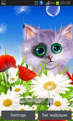 Spring: Kitten Android Wallpaper Image 1