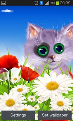 Spring: Kitten Android Wallpaper Image 2