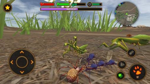 Life Of Spider Android Game Image 2