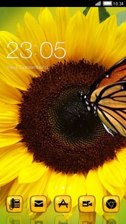 Sunflower CLauncher Android Theme Image 1