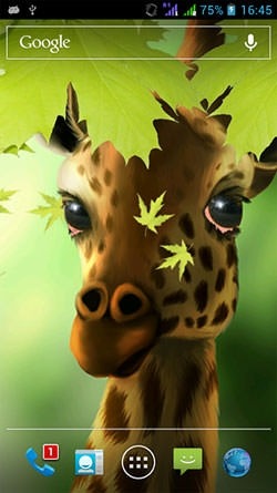 Giraffe HD Android Wallpaper Image 1