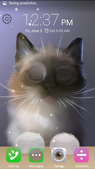Peper The Kitten Android Wallpaper Image 2
