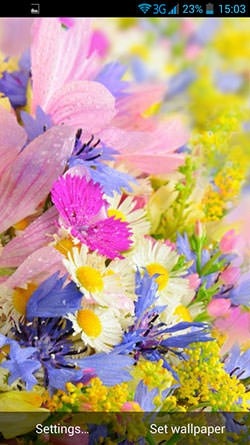 Summer Flowers Android Wallpaper Image 2