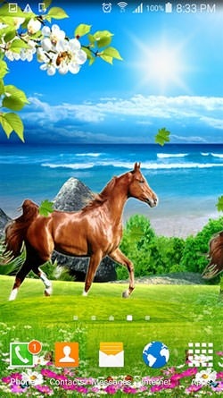 Horse Android Wallpaper Image 1