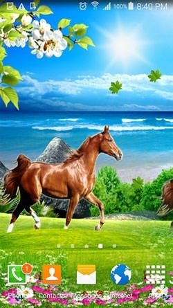 Horse Android Wallpaper Image 2