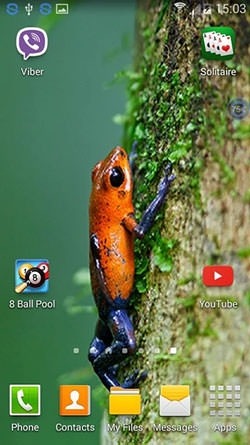 Frogs: Shake And Change Android Wallpaper Image 1