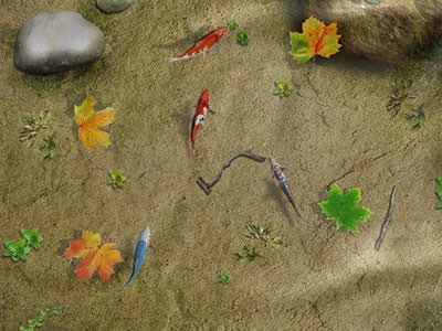Water Koi Fish Pond Android Wallpaper Image 1