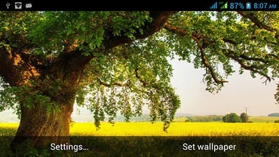 Splendid Nature Android Wallpaper Image 2