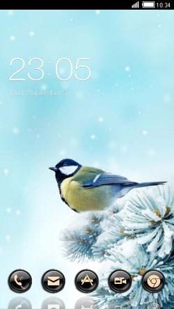Bird CLauncher Android Theme Image 1