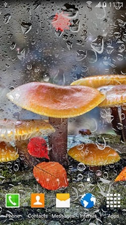 Mushrooms Android Wallpaper Image 2