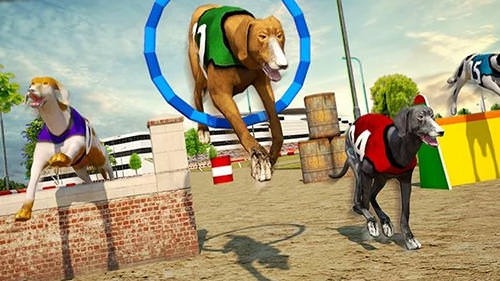Dog Race And Stunts 2016 Android Game Image 2
