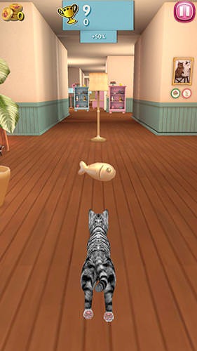 Cat Run Android Game Image 2