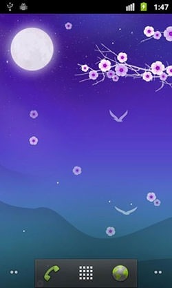Blooming Night Android Wallpaper Image 1