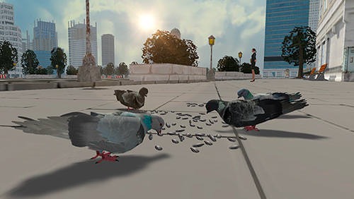 Flying Bird Pigeon Simulator 2 Android Game Image 1