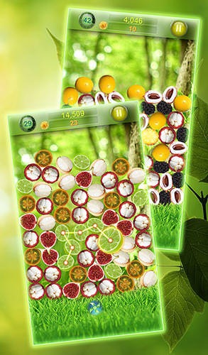 Match 3 Fruit Android Game Image 2