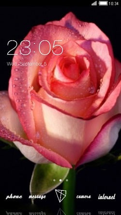 Pink Rose CLauncher Android Theme Image 1