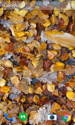 Autumn Leaves Android Wallpaper Image 2