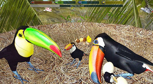 Ultimate Bird Simulator Android Game Image 1