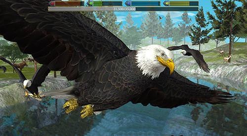 Ultimate Bird Simulator Android Game Image 2