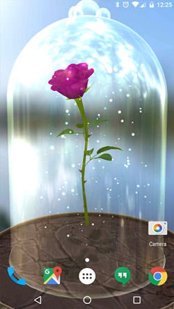 Enchanted Rose Android Wallpaper Image 1