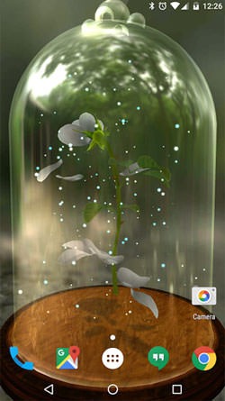 Enchanted Rose Android Wallpaper Image 2