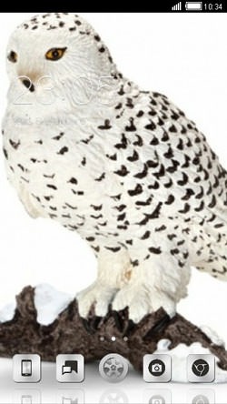 White Owl CLauncher Android Theme Image 1