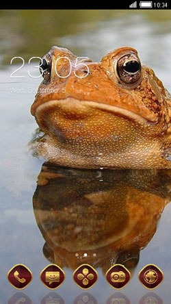 Bull Frog CLauncher Android Theme Image 1