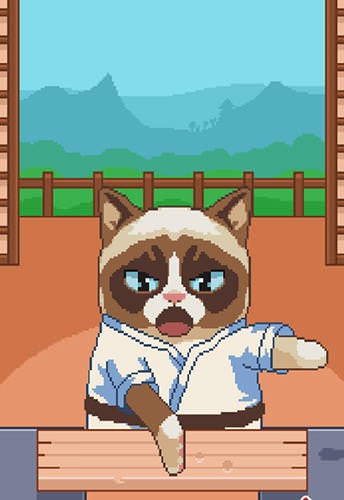 Grumpy Cat&#039;s Worst Game Ever Android Game Image 2