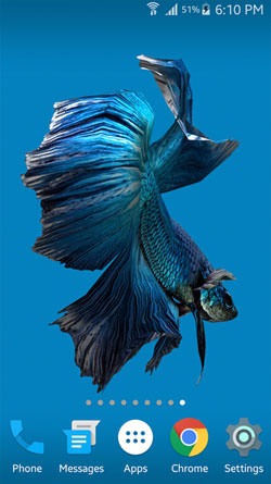 Betta Fish 3D Android Wallpaper Image 2