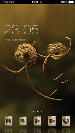 Dendoline CLauncher Android Theme Image 1