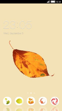 Autumn Leave CLauncher Android Theme Image 1