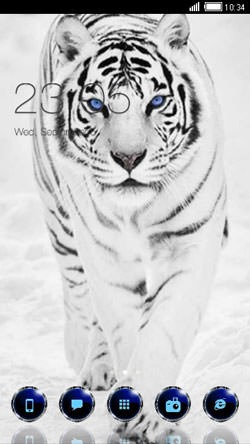 Snow Tiger CLauncher Android Theme Image 1