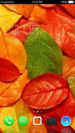 Colorful Leaves CLauncher Android Theme Image 1