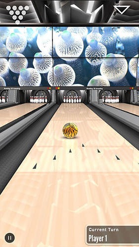 Bowling 3D Master Android Game Image 1