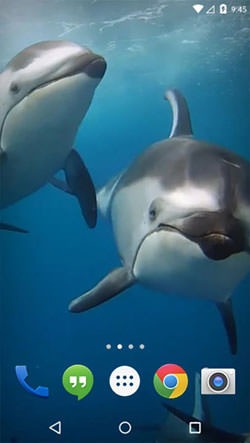 Ocean 3D: Dolphin Android Wallpaper Image 2