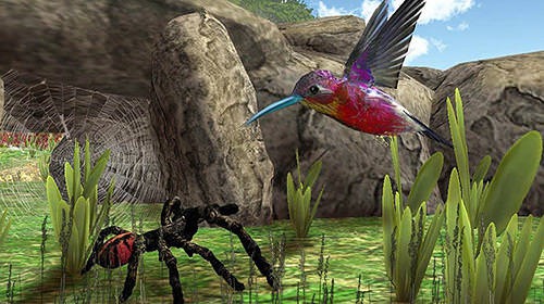 Hummingbird Simulator 3D Android Game Image 1