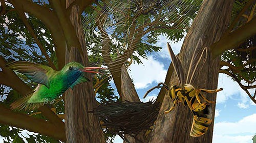 Hummingbird Simulator 3D Android Game Image 2