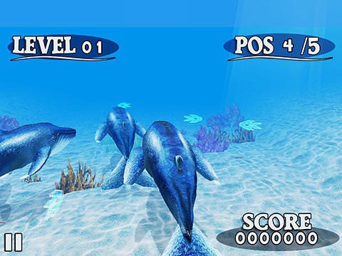 Fish Race Android Game Image 2