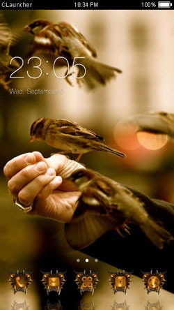 Birds CLauncher Android Theme Image 1
