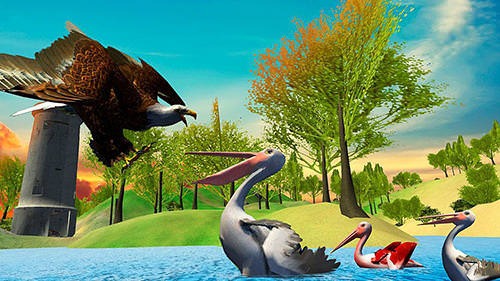 Pelican Bird Simulator 3D Android Game Image 1