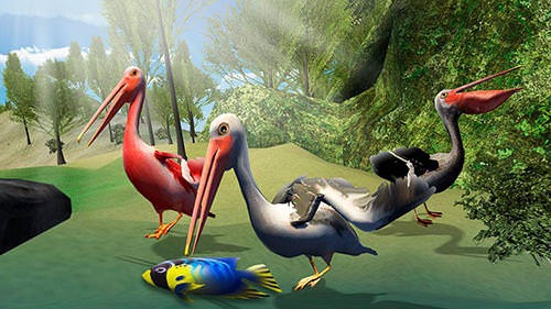 Pelican Bird Simulator 3D Android Game Image 2