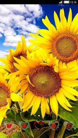 Sunflowers CLauncher Android Theme Image 1