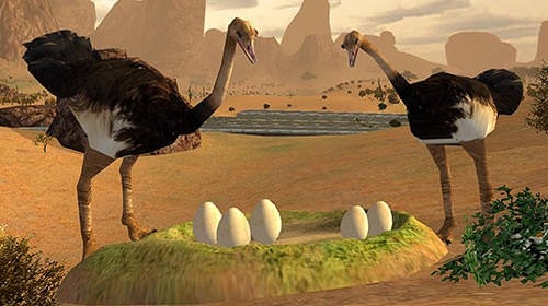 Ostrich Bird Simulator 3D Android Game Image 1