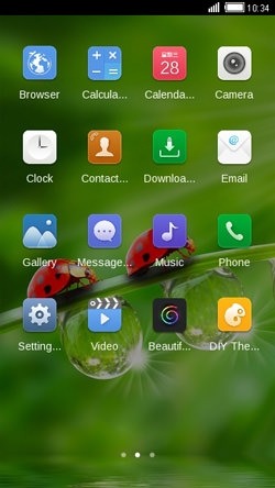 Ladybug CLauncher Android Theme Image 2