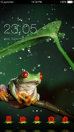 Frog CLauncher Android Theme Image 1