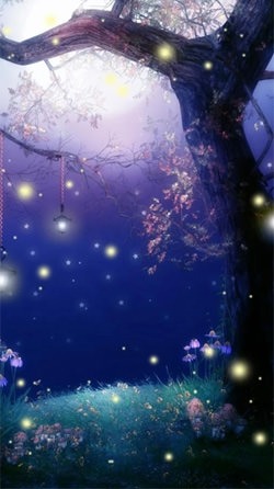 Fireflies Android Wallpaper Image 1