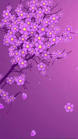 Sakura By Xllusion Android Wallpaper Image 1