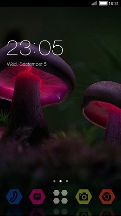 Mashrooms CLauncher Android Theme Image 1